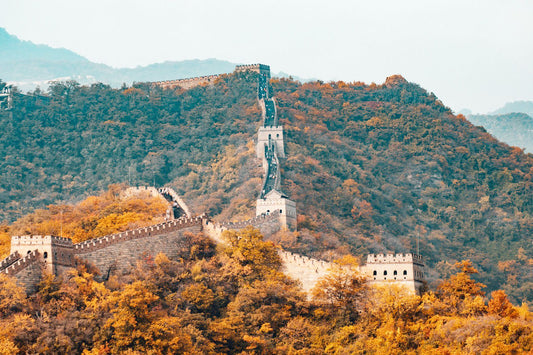 China eSIM