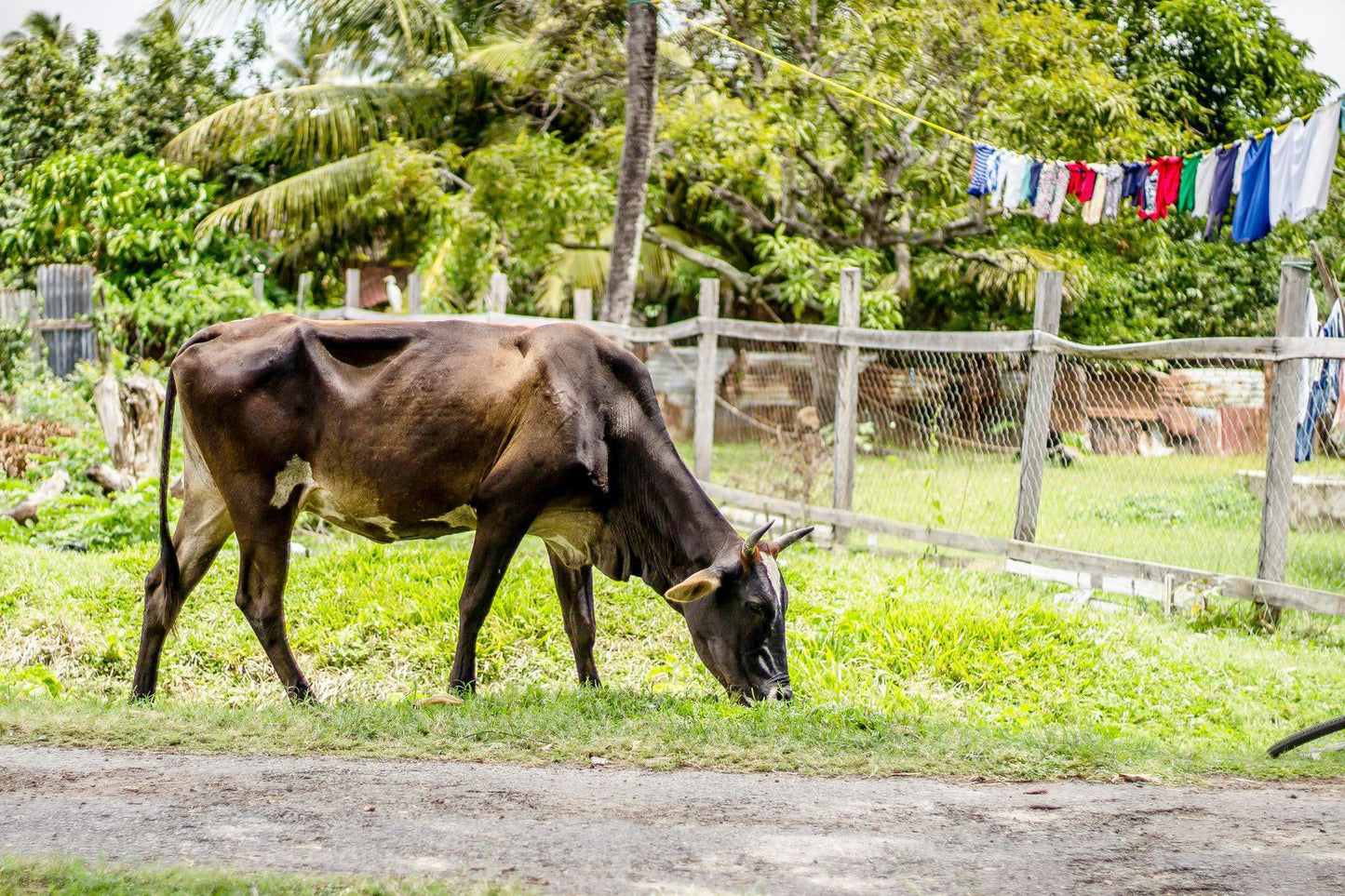 French Guiana eSIM