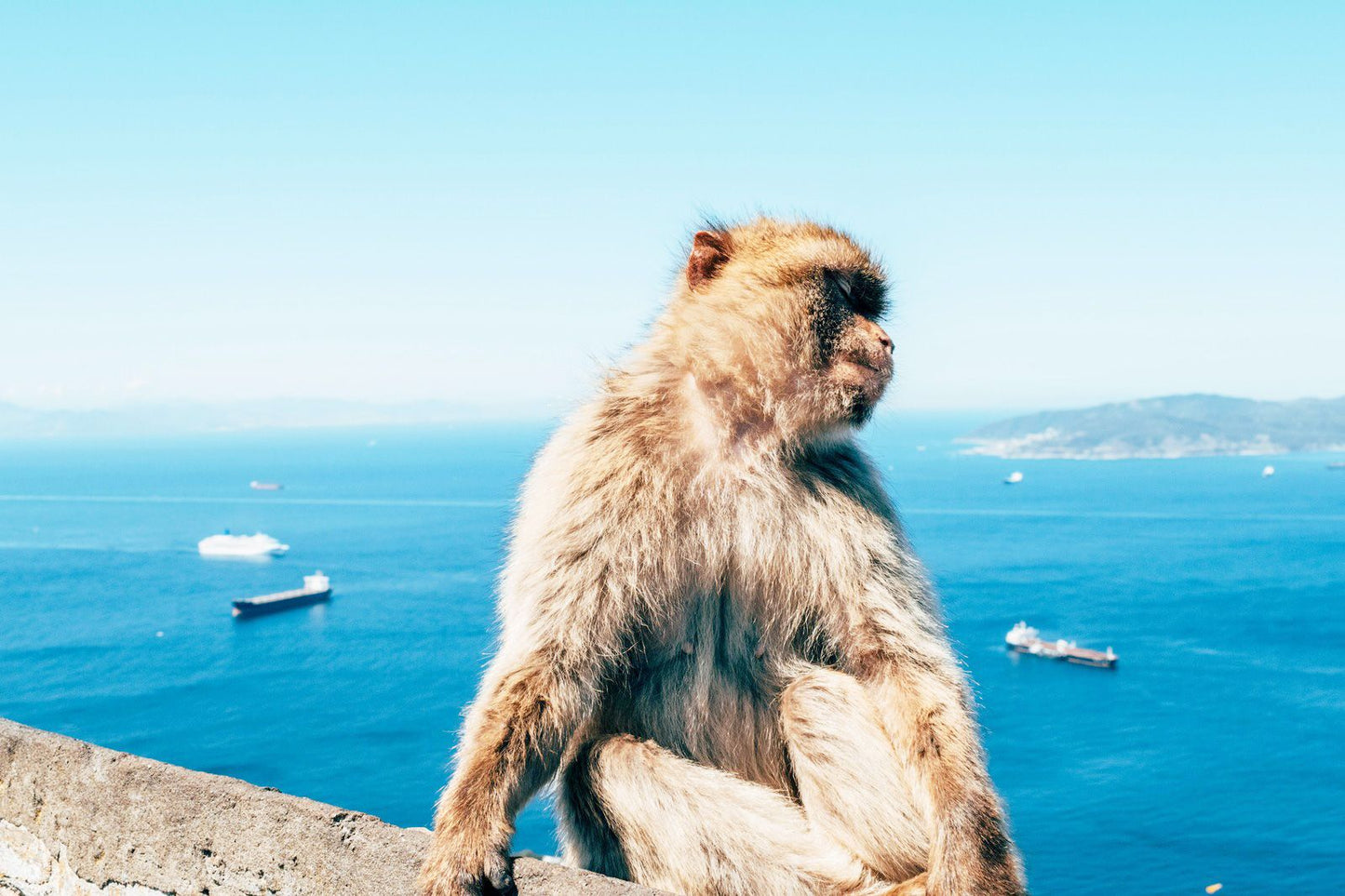 Gibraltar eSIM