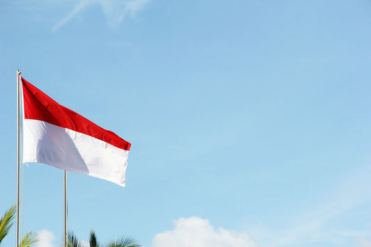 Indonesia eSIM