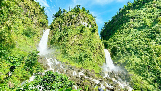 Dominica eSIM